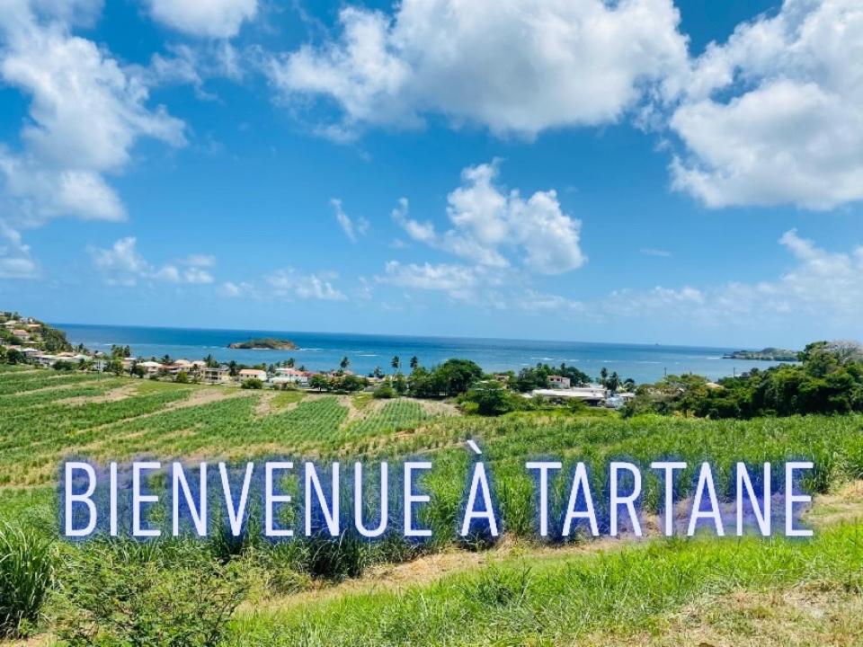 Residence De La Baie 2 - Bleu Soleil Tartane La Trinité Dış mekan fotoğraf
